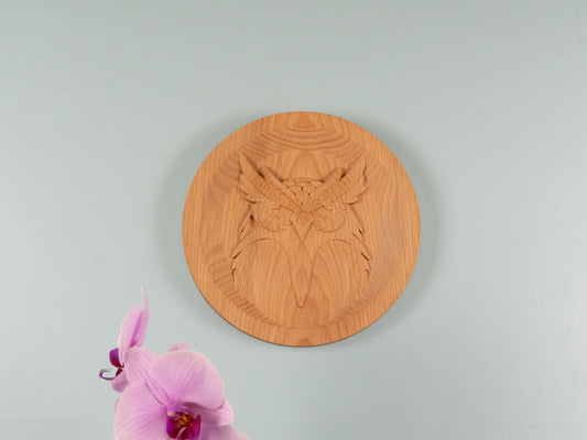 Wooden Owl Decor,Wall decor,home decor,Wood relief sculpture ,Wood Wall Hanging, Wood Carving,living，Home Decoration